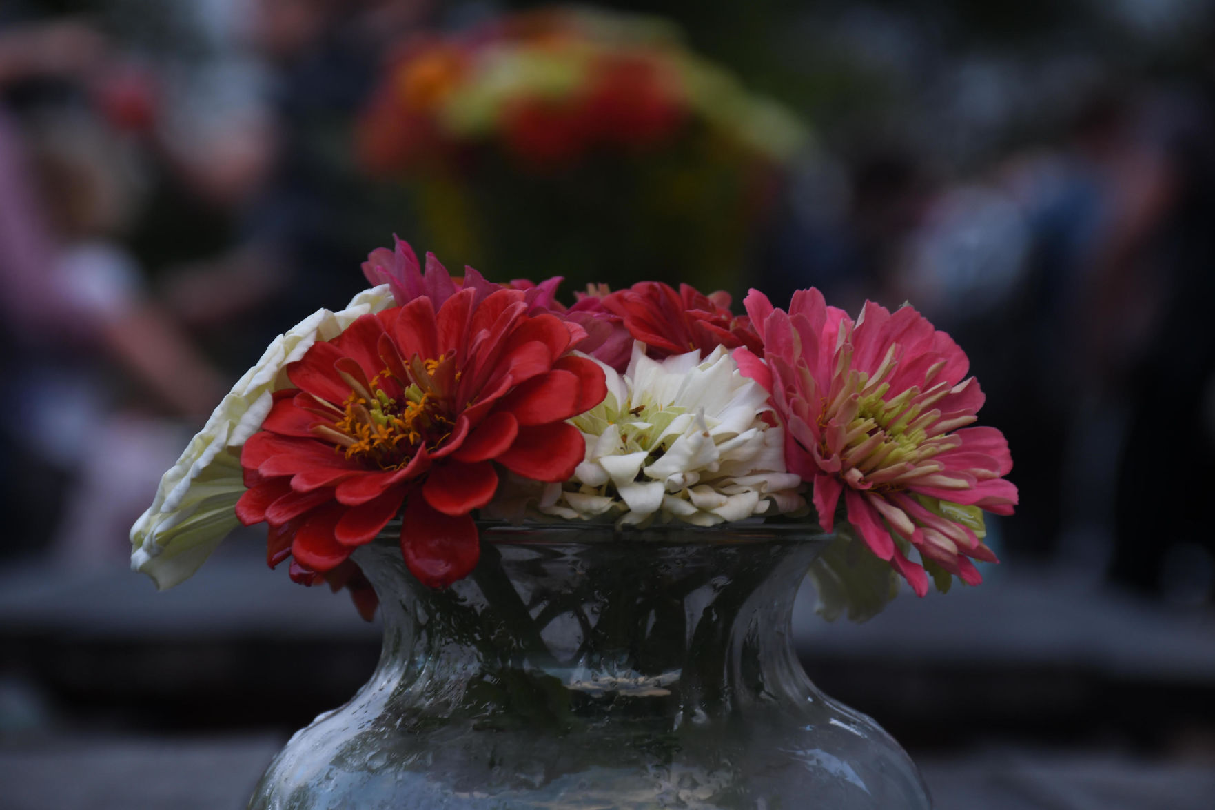 flowers